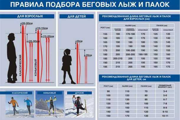 Как правильно выбрать лыжи